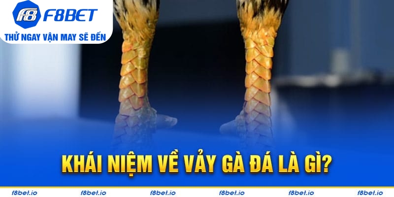 Khái niệm về vảy gà đá