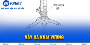 vảy gà khai vương